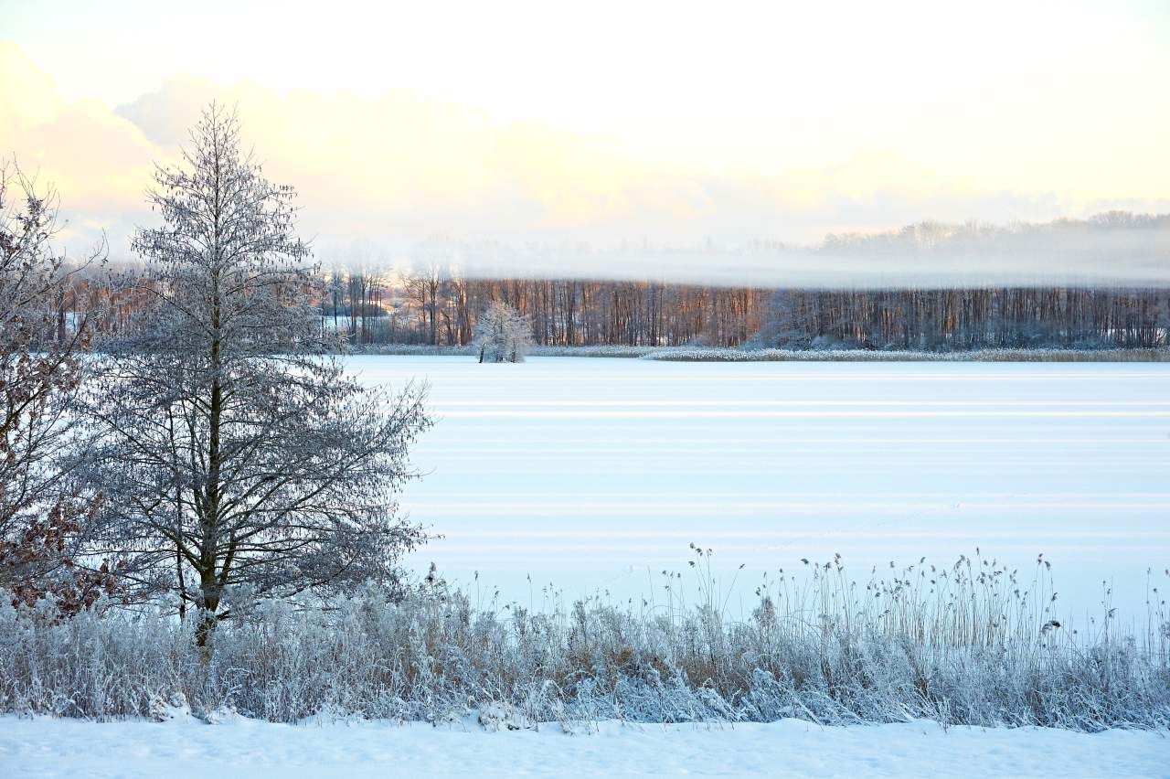 Februar am Tressower See